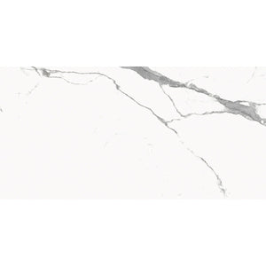 Eterica White & Gray Marbled 24x48 Porcelain Tile Sample