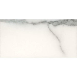 Tile Club | Calacatta Gold 3X6 Honed Marble Tile position: 1