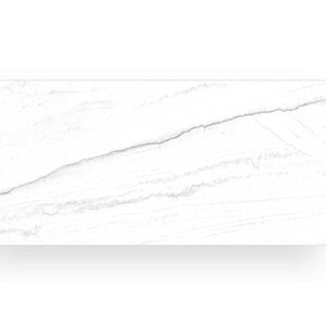 Emporio Statuario White Polished 24x48 Sample