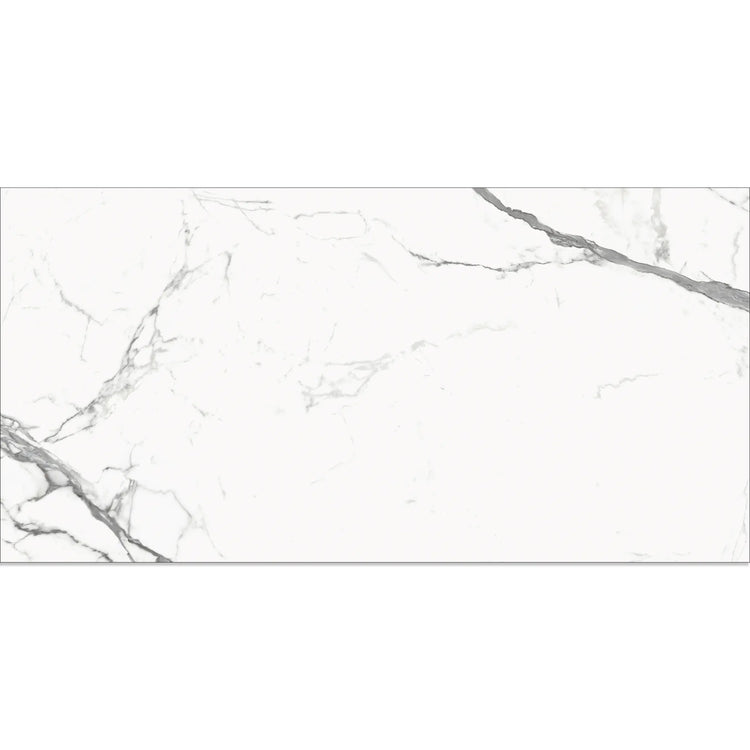 Eterica White & Gray Marbled 24x48 Porcelain Tile