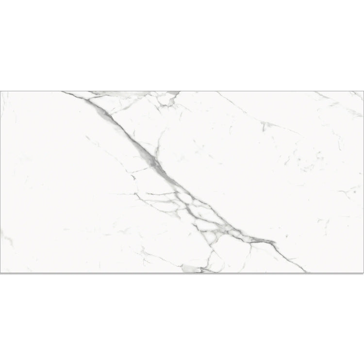 Eterica White & Gray Marbled 24x48 Porcelain Tile