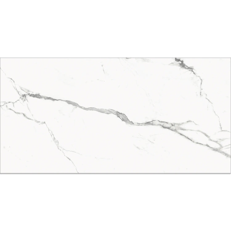 Eterica White & Gray Marbled 24x48 Porcelain Tile