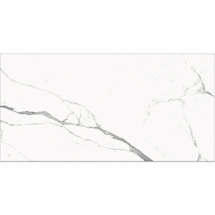 Eterica White & Gray Marbled 24x48 Porcelain Tile