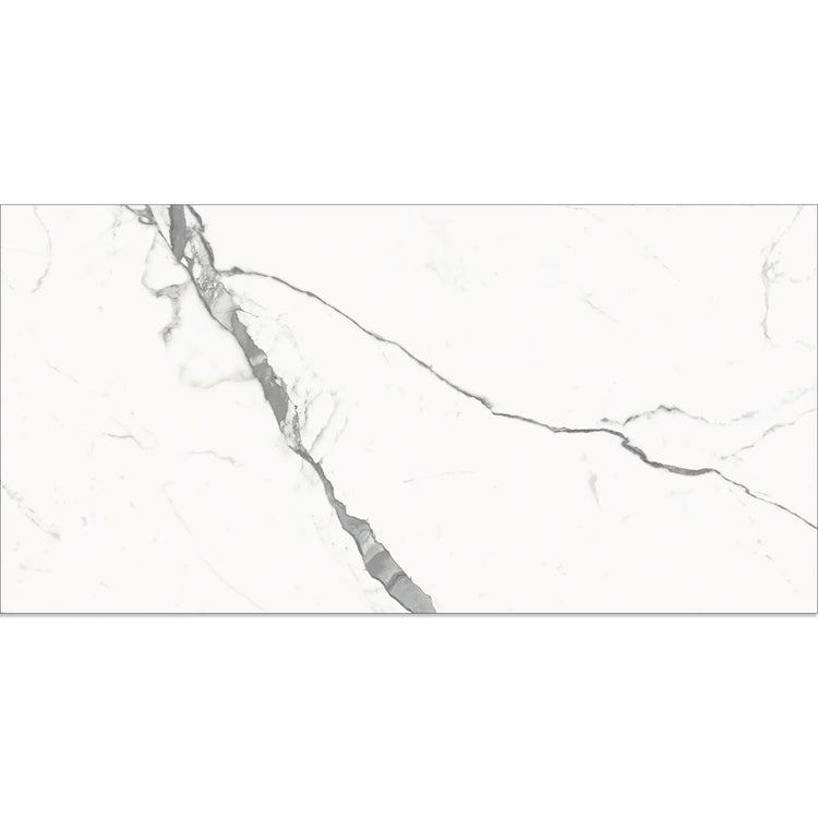 Eterica White & Gray Marbled 24x48 Porcelain Tile