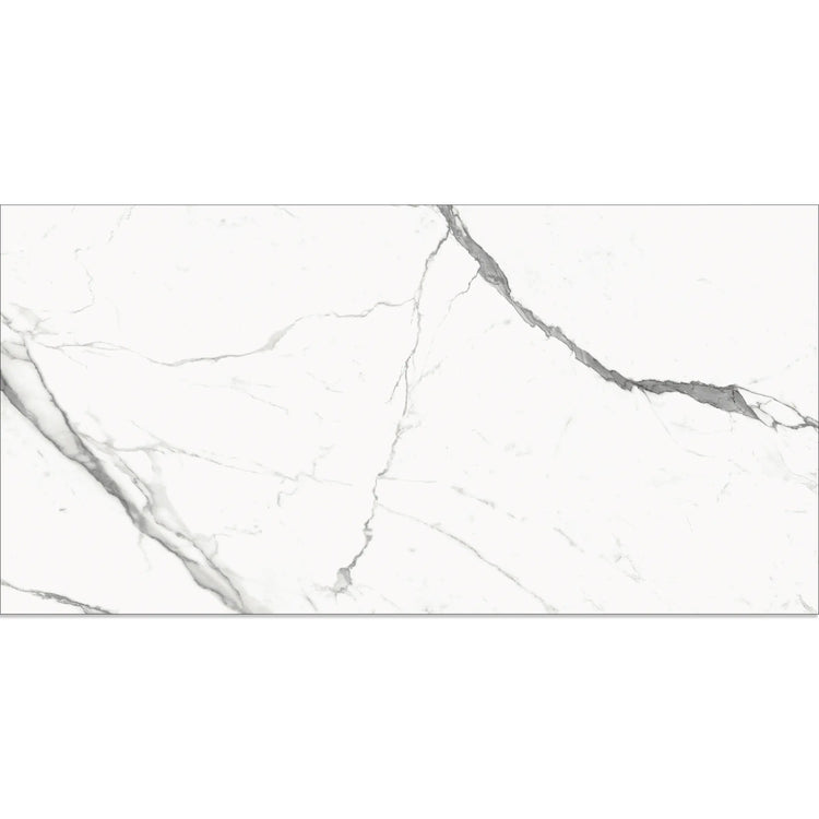 Eterica White & Gray Marbled 24x48 Porcelain Tile