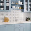Blue and White Kitchen Backsplash Tile with Blue Shaker Cabinets